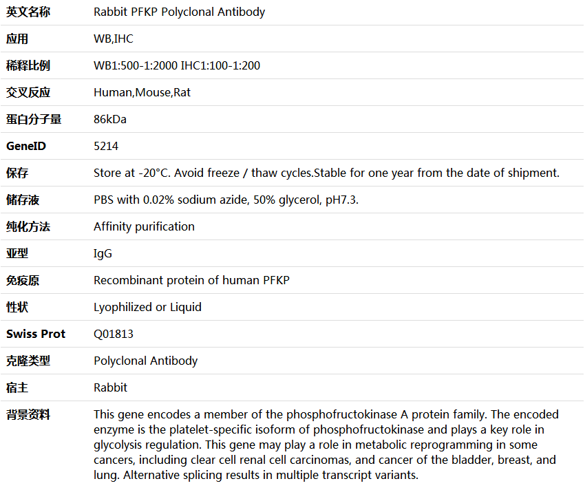 PFKP Antibody,索莱宝,K005551P-100ul