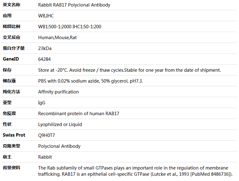 RAB17 Antibody,索莱宝,K005493P-100ul