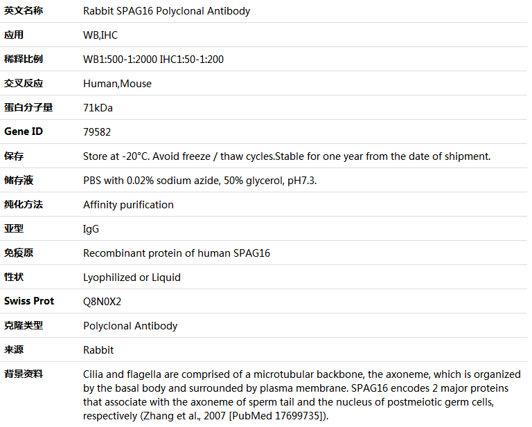 SPAG16 Antibody,索莱宝,K005279P-100ul