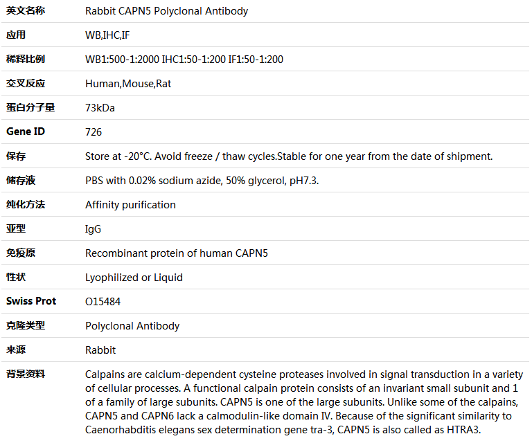 CAPN5 Antibody,索莱宝,K005240P-100ul