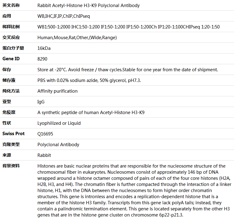 Acetyl-Histone H3-K9 Antibody,索莱宝,K005116P-100ul