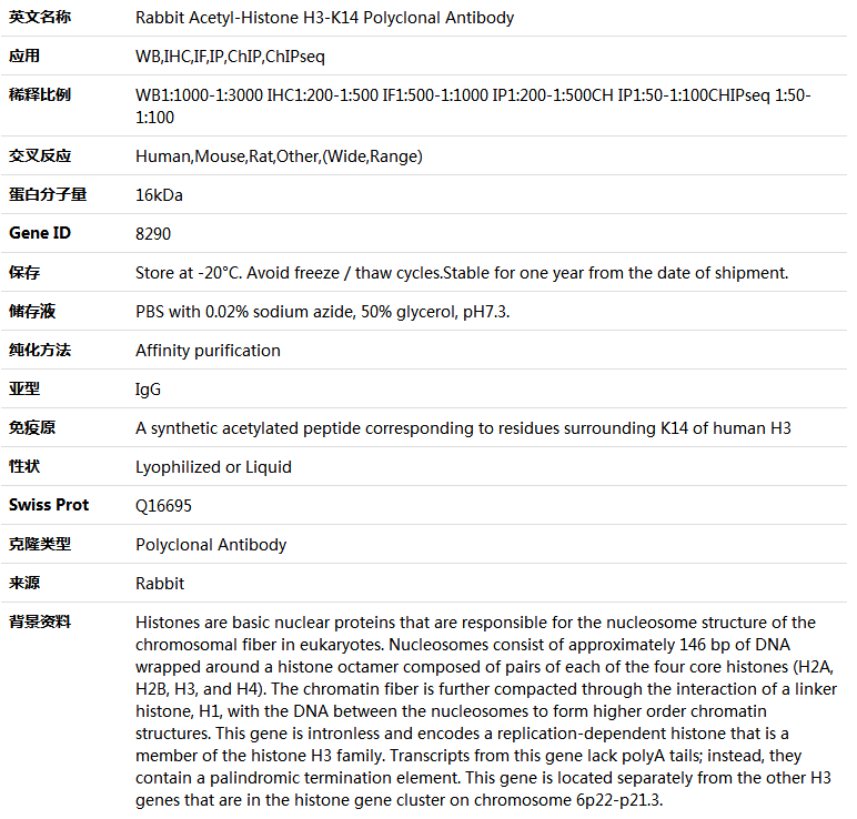 Acetyl-Histone H3-K14 Antibody,索莱宝,K005115P-50ul