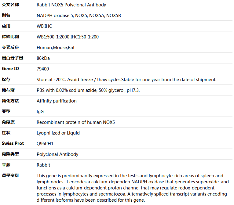 NOX5 Antibody,索莱宝,K005041P-100ul