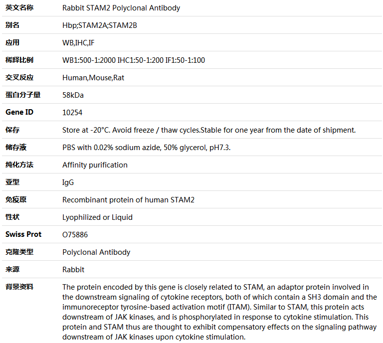 STAM2 Antibody,索莱宝,K004977P-100ul