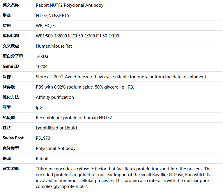 NUTF2 Antibody,索莱宝,K004976P-50ul