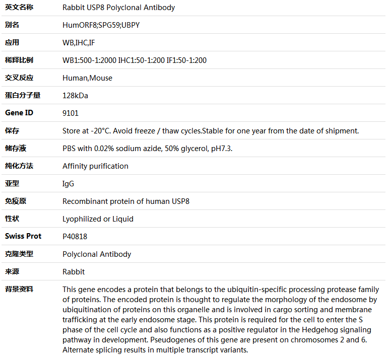 USP8 Antibody,索莱宝,K004954P-50ul