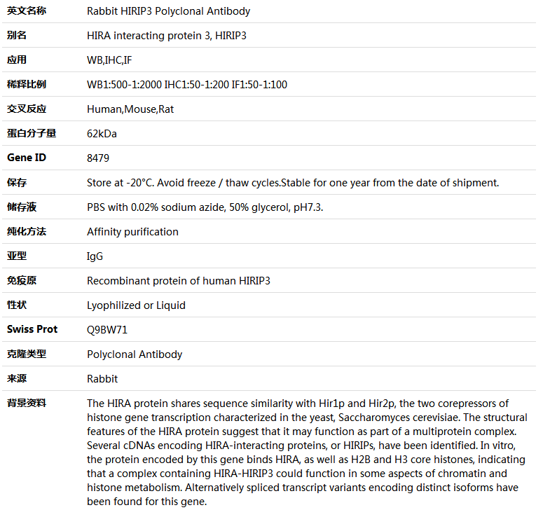 HIRIP3 Antibody,索莱宝,K004940P-100ul