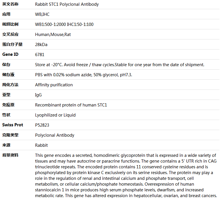 STC1 Antibody,索莱宝,K004770P-50ul