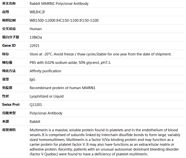 MMRN1 Antibody,索莱宝,K004689P-100ul