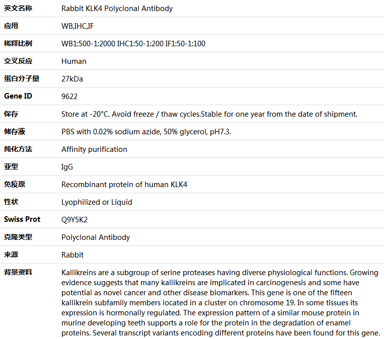 KLK4 Antibody,索莱宝,K004679P-100ul