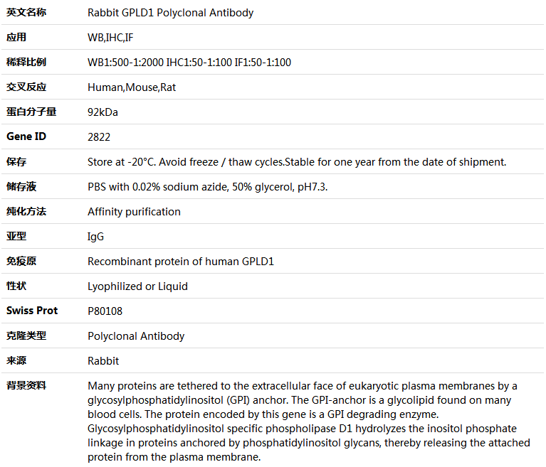 GPLD1 Antibody,索莱宝,K004655P-100ul