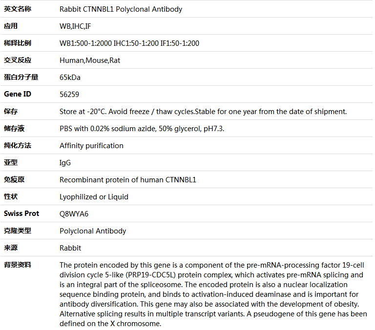 CTNNBL1 Antibody,索莱宝,K004626P-100ul