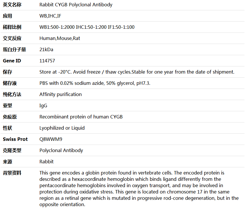 CYGB Antibody,索莱宝,K004569P-50ul