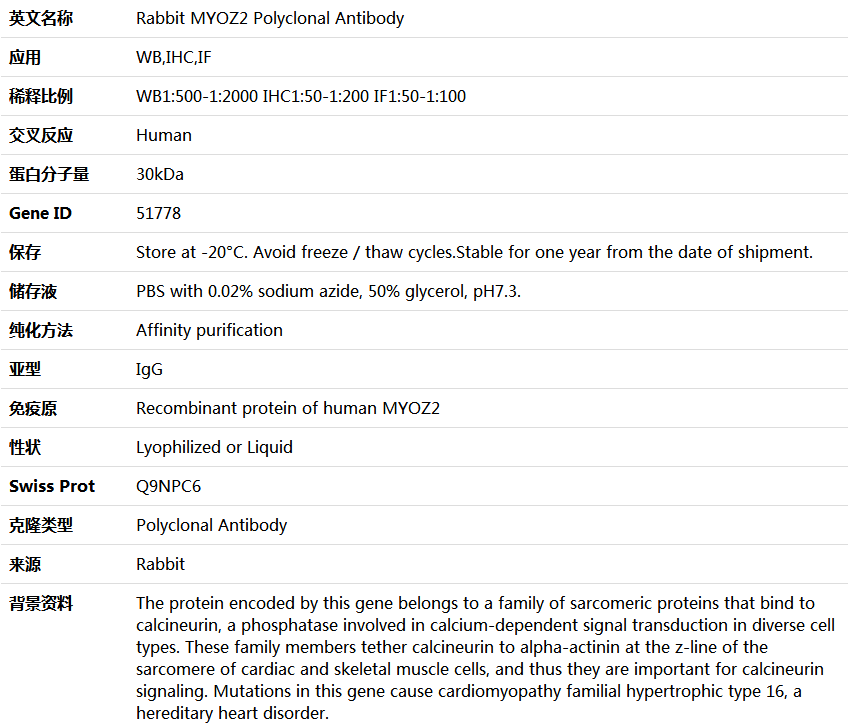 MYOZ2 Antibody,索莱宝,K004553P-100ul