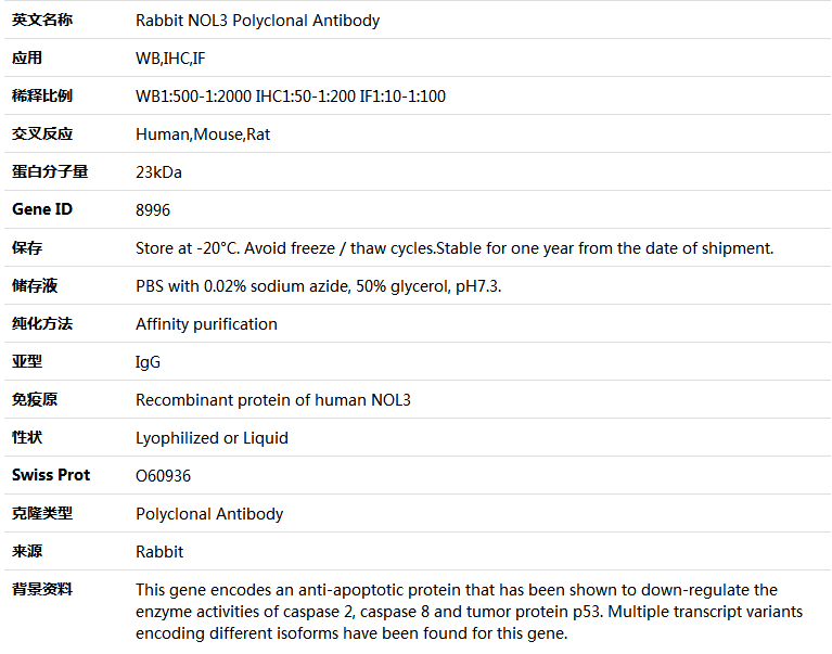 NOL3 Antibody,索莱宝,K004436P-50ul