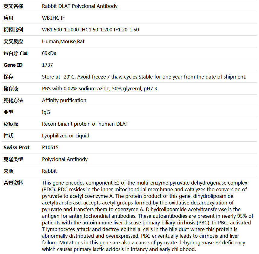 DLAT Antibody,索莱宝,K004409P-50ul