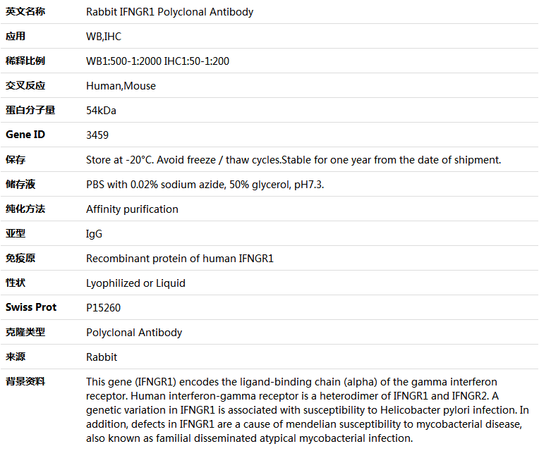 IFNGR1 Antibody,索莱宝,K004180P-100ul