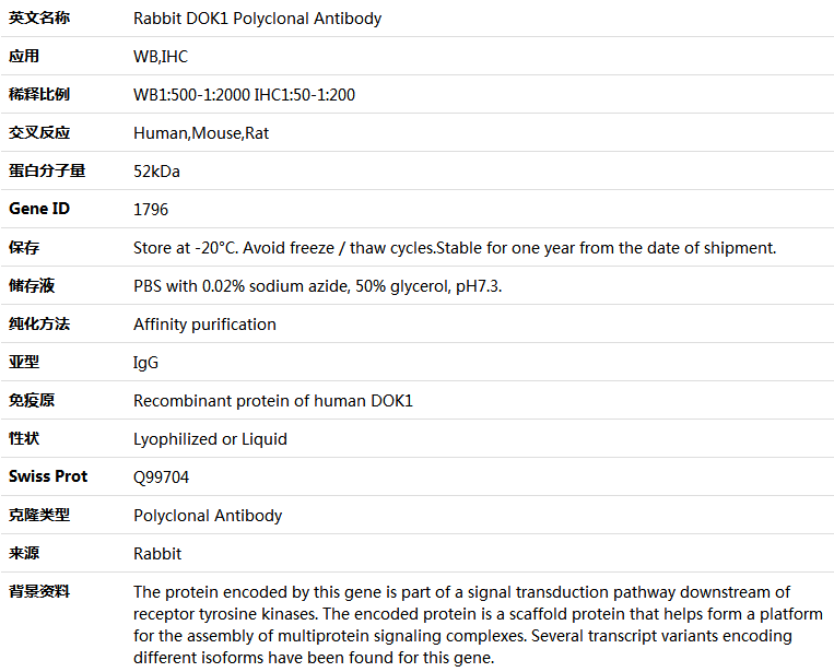 DOK1 Antibody,索莱宝,K004138P-50ul