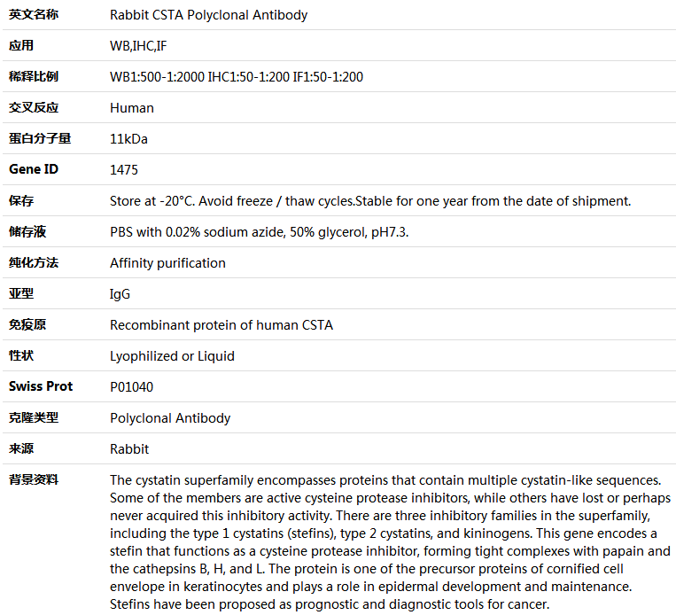 CSTA Antibody,索莱宝,K004137P-100ul