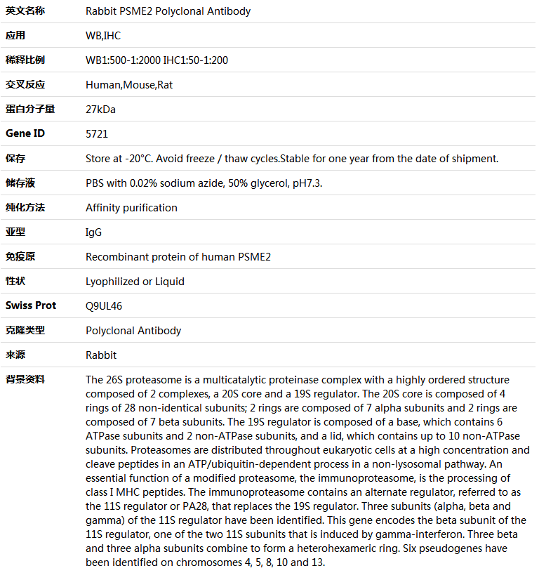 PSME2 Antibody,索莱宝,K004066P-50ul