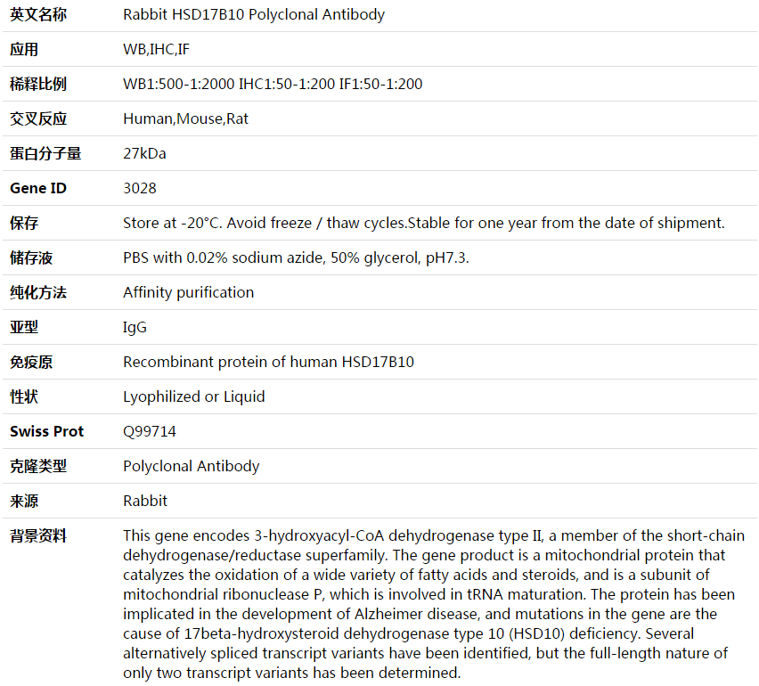 HSD17B10 Antibody,索莱宝,K004001P-100ul