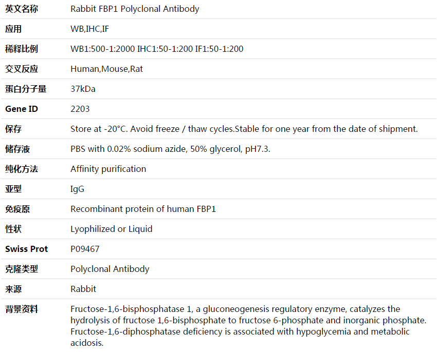 FBP1 Antibody,索莱宝,K003975P-30ul