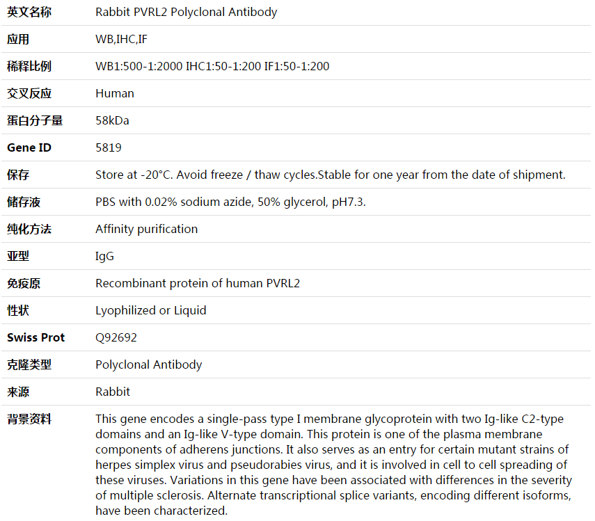 PVRL2 Antibody,索莱宝,K003955P-50ul