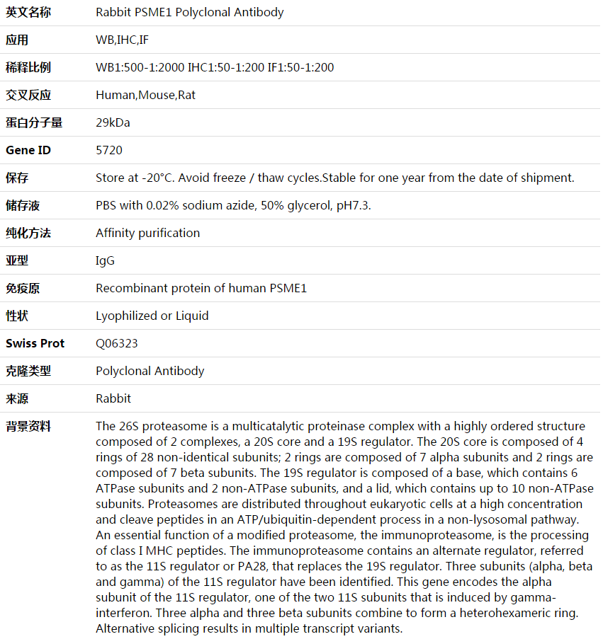 PSME1 Antibody,索莱宝,K003937P-100ul