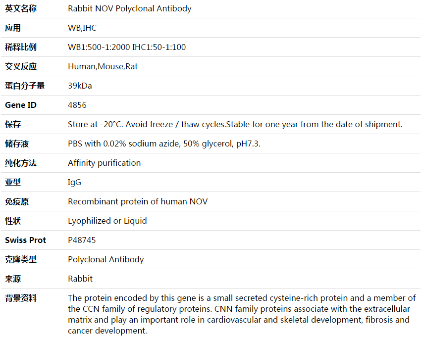 NOV Antibody,索莱宝,K003910P-50ul