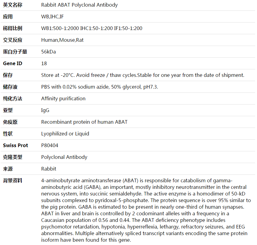 ABAT Antibody,索莱宝,K003895P-50ul