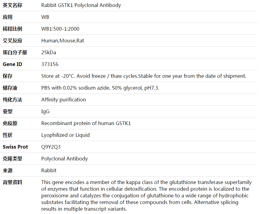 GSTK1 Antibody,索莱宝,K003874P-100ul