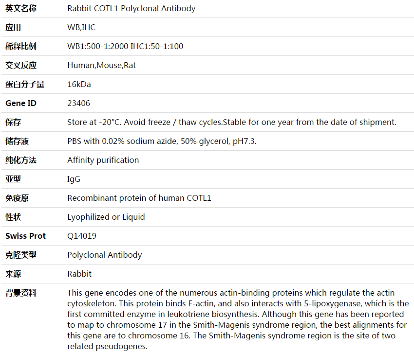 COTL1 Antibody,索莱宝,K003820P-50ul