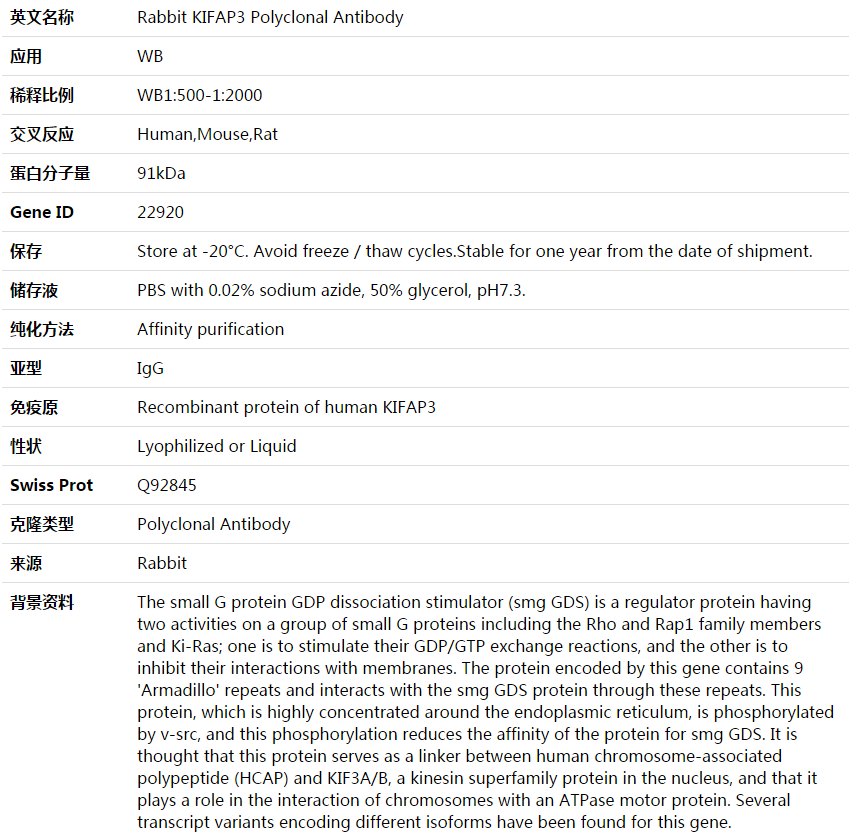 KIFAP3 Antibody,索莱宝,K003817P-30ul