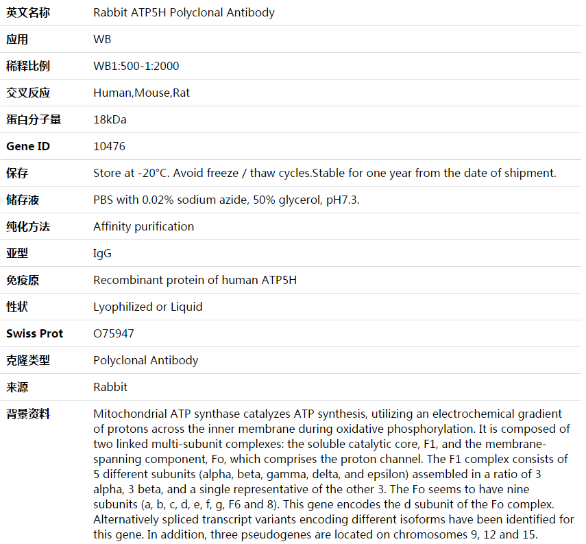 ATP5H Antibody,索莱宝,K003797P-50ul