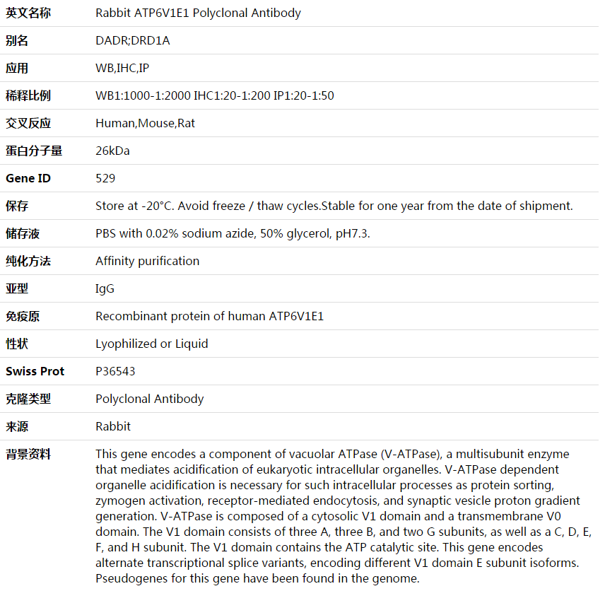 ATP6V1E1 Antibody,索莱宝,K003694P-50ul