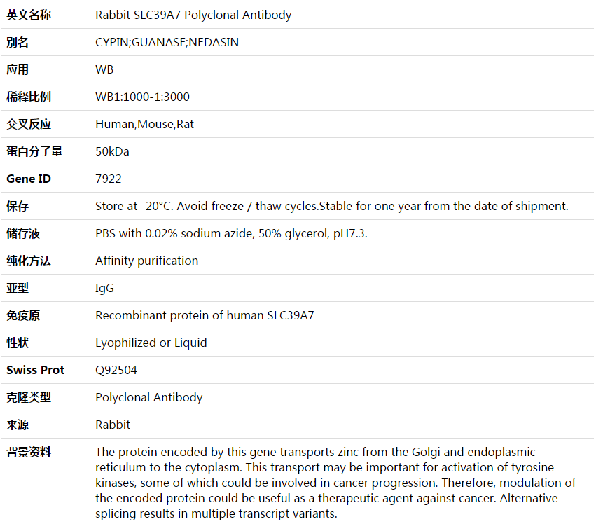 SLC39A7 Antibody,索莱宝,K003655P-100ul