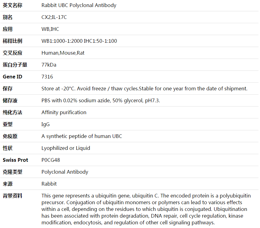 UBC Antibody,索莱宝,K003634P-50ul