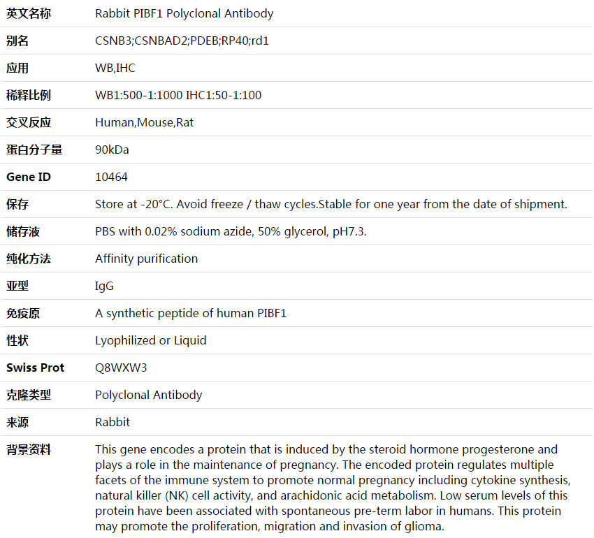 PIBF1 Antibody,索莱宝,K003578P-100ul