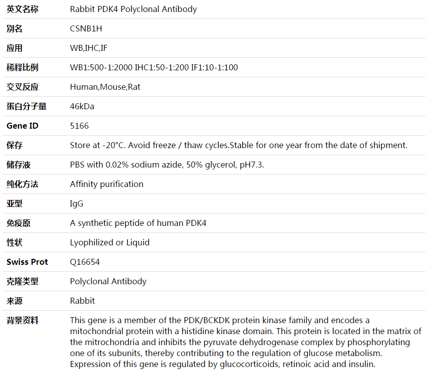 PDK4 Antibody,索莱宝,K003577P-30ul