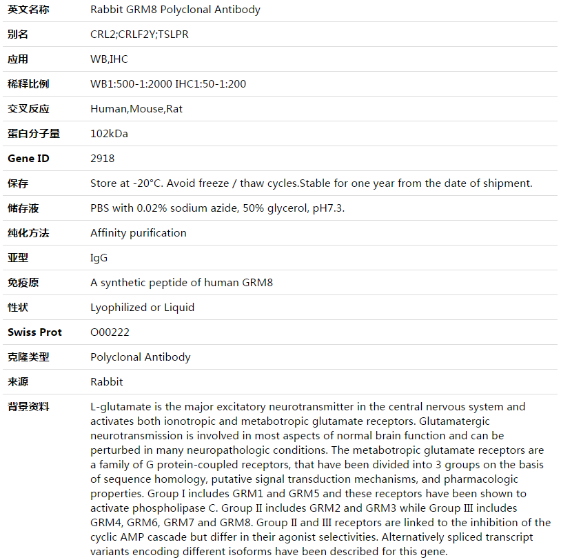 GRM8 Antibody,索莱宝,K003542P-30ul