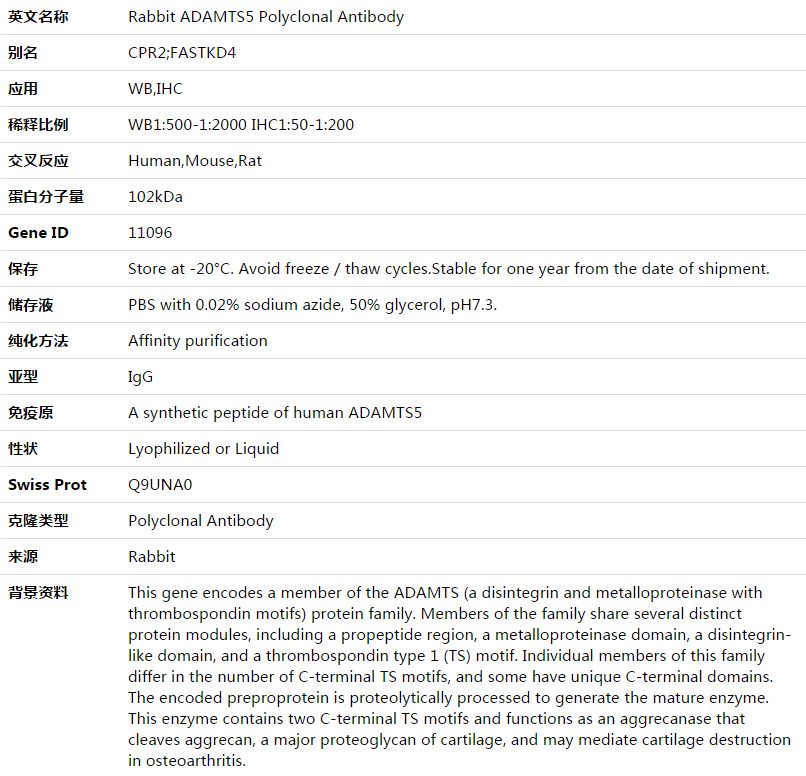 ADAMTS5 Antibody,索莱宝,K003501P-100ul