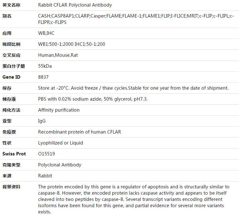 CFLAR Antibody,索莱宝,K003414P-30ul