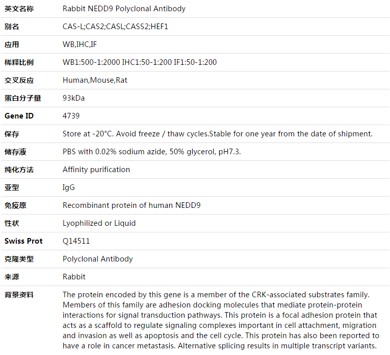 NEDD9 Antibody,索莱宝,K003387P-100ul