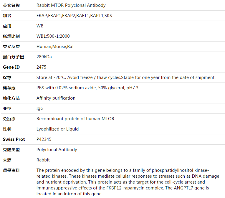 MTOR Antibody,索莱宝,K003351P-50ul