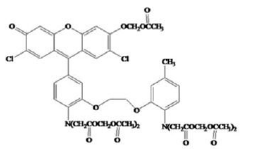 Fluo-3, AM ester（钙离子荧光探针）       货号： BN13005