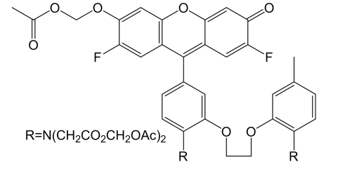 Fluo-4, AM ester（钙离子荧光探针, 2mM）       货号： BN13014