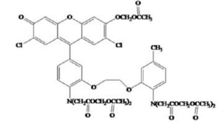 Fluo-3, AM ester（钙离子荧光探针, 2mM）       货号： BN13015