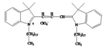 DiI（细胞膜橙红色荧光探针）       货号： BN14010